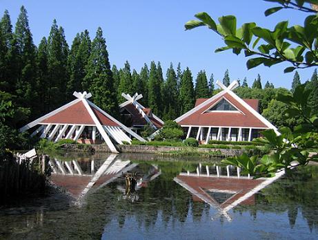 崇明旅游,上海崇明旅游