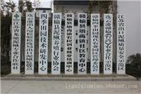 江苏赣榆墩尚泥鳅苗养殖技术、连云港泥鳅苗养殖基地