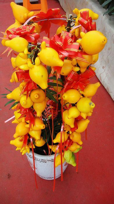 黄金果：上海年宵花卉市场|上海年宵花卉专卖