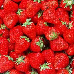 上海摘草莓_青浦摘草莓