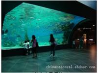 海洋工程设计/海底主题建设/上海水族馆工程设计