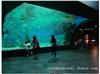 海洋工程设计/海底主题建设/上海水族馆工程设计