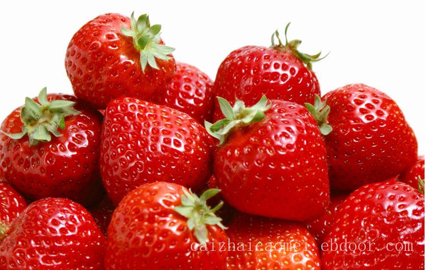 奶油草莓采摘/奶油草莓采摘价格