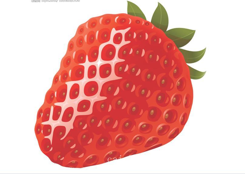 奶油草莓采摘/上海草莓采摘/上海草莓批发价格