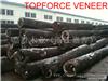 江苏常州美国黑胡桃原木 JiangSu ChangZhou American Walnut Veneer Log / Saw Log-嘉胜木业 TOPFORCE VENE