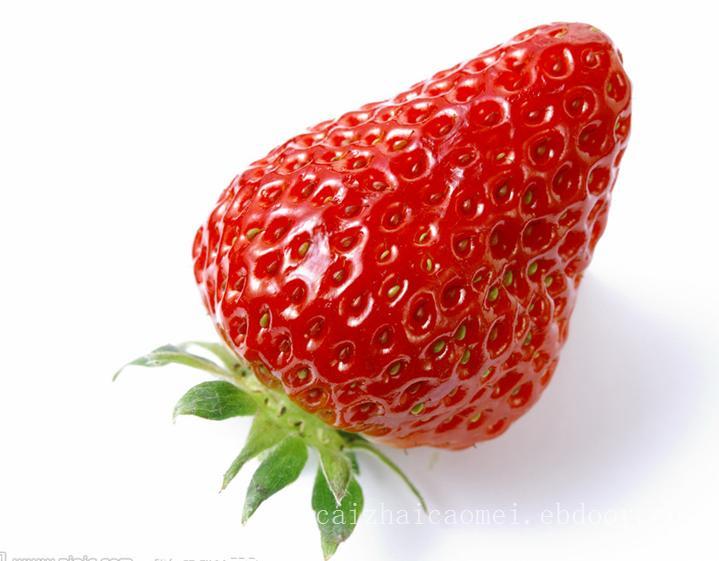 浦东草莓采摘/张江高科附近有草莓园吗