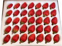 水果海绵托 水果包装海绵 蔬菜海绵托