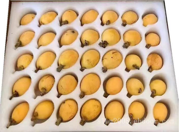 水果海绵托 水果包装海绵 蔬菜海绵托