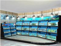 上海大型亚克力鱼缸厂家 2013鱼缸定做风格