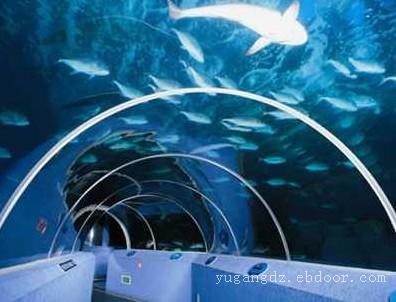 大型亚克力鱼缸制作-上海的鱼缸加工厂