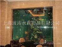 上海定做鱼缸;定做鱼缸公司;定做鱼缸价格