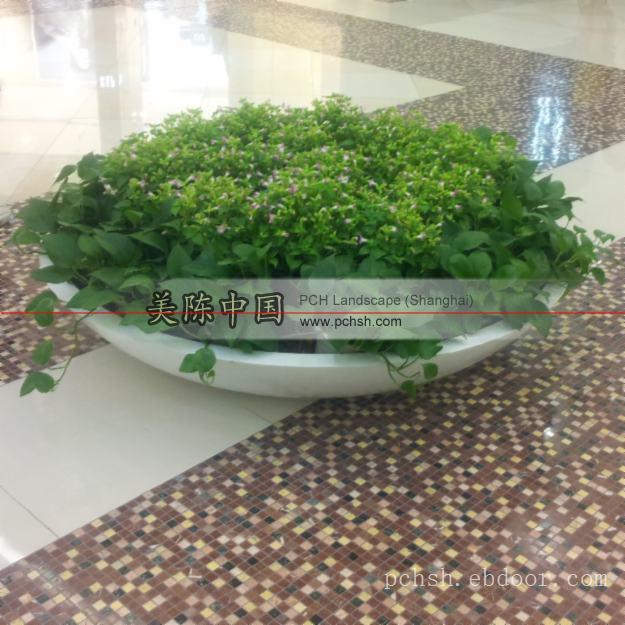 组合花盆销售商/组合花盆批发商/组合花盆生产商/18621689689