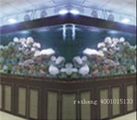 上海亚克力鱼缸制作厂家