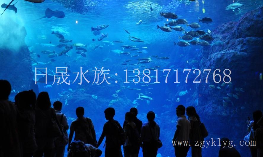 上海亚克力鱼缸销售-亚克力鱼缸的摆放