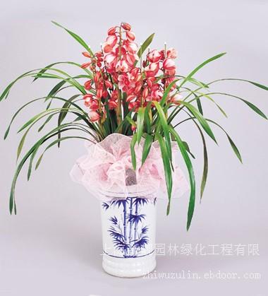 上海浦东租赁电话