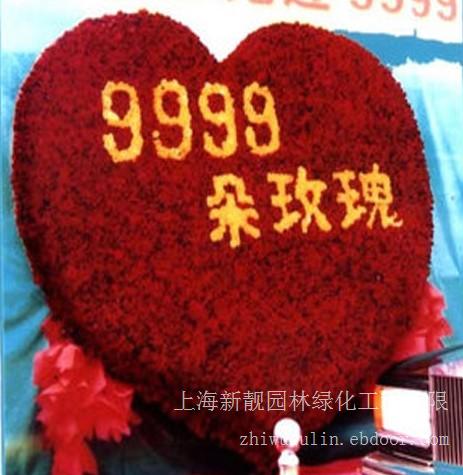 上海浦东植物租赁电话咨询