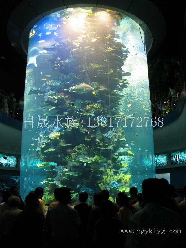 上海亚克力鱼缸生产-亚克力鱼缸订做