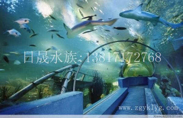 上海亚克力鱼缸定做-亚克力鱼缸加工