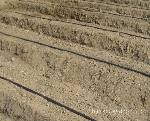 内蒙古滴灌带批发