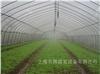 温室大棚-上海温室大棚厂家-上海温室大棚建设