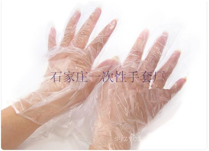 一次性PE手套采购|供应商|加工厂