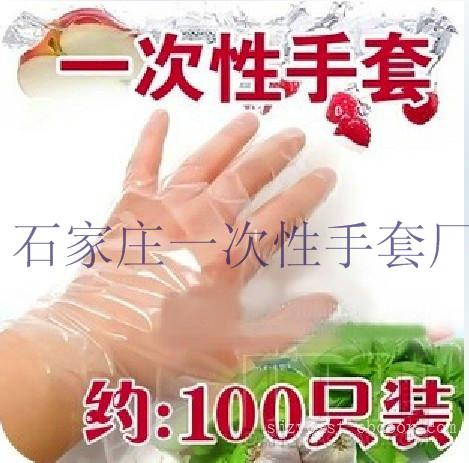 一次性PE手套采购|供应商|加工厂