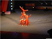 石家庄演出策划 