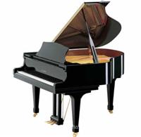 上海卡瓦依钢琴专卖店 卡瓦依三角钢琴RX-1报价