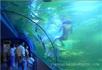 海洋馆工程-上海大型亚克力鱼缸制作