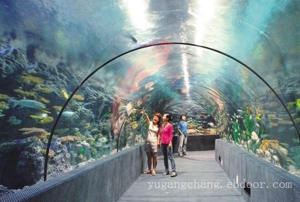 海洋馆工程-上海大型亚克力鱼缸制作