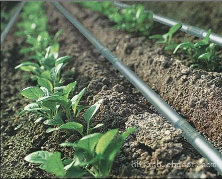 黑龙江滴灌管哪家好