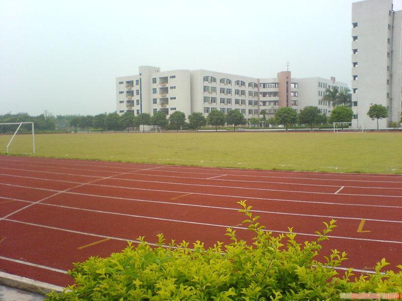 上海塑胶跑道价格-塑胶跑道厂家