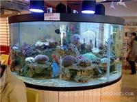 鱼缸制作_上海鱼缸制作