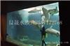 上海亚克力鱼缸销售-大型亚克力鱼缸设计