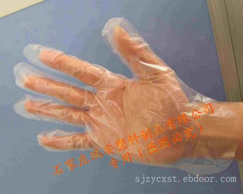 一次性塑料薄膜手套价格