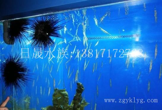 大型亚克力鱼缸销售-上海亚克力鱼缸定做厂