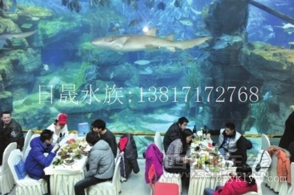 大型亚克力鱼缸销售-上海亚克力鱼缸定做厂