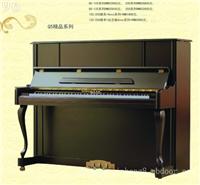 上海的琴行-普陀斯坦伯格钢琴专卖店德系