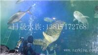 上海亚克力鱼缸设计-大型亚克力鱼缸订做