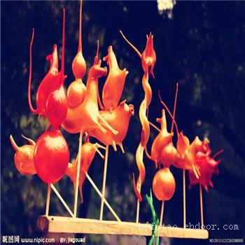 上海民间艺术表演-专业民间艺术表演-上海民间文化表演