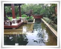 上海锦鲤鱼池-上海鱼池设计施工