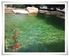 上海锦鲤鱼池施工-上海锦鲤鱼池设计