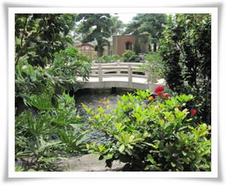 上海庭院设计-上海鱼池设计