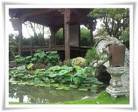 上海锦鲤鱼池设计施工-庭院设计施工