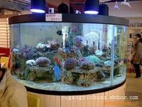 订做大型鱼缸_上海定做鱼缸