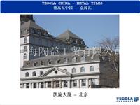 德高金属瓦—上海陶益各式别墅瓦