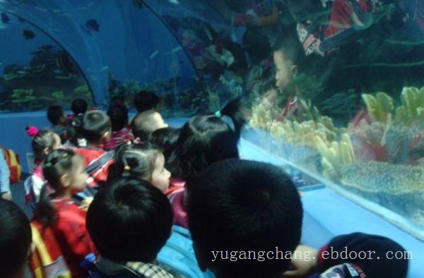 大型亚克力鱼缸定制-上海大型亚克力鱼缸报价
