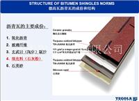 大量供应彩色沥青瓦--意大利进口