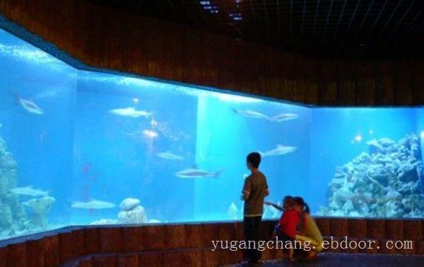 大型鱼缸加工厂-上海大型亚克力鱼缸价格