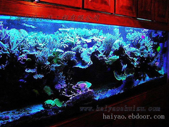 订做生态鱼缸 10年大型水族工程经验 设计建造..